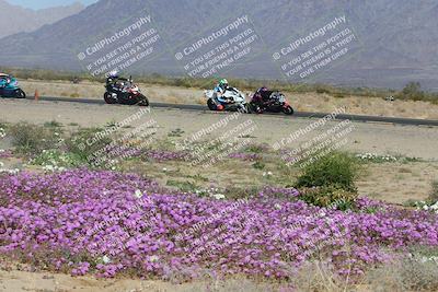 media/Feb-04-2023-SoCal Trackdays (Sat) [[8a776bf2c3]]/Turn 15 Inside Blooming (1050am)/